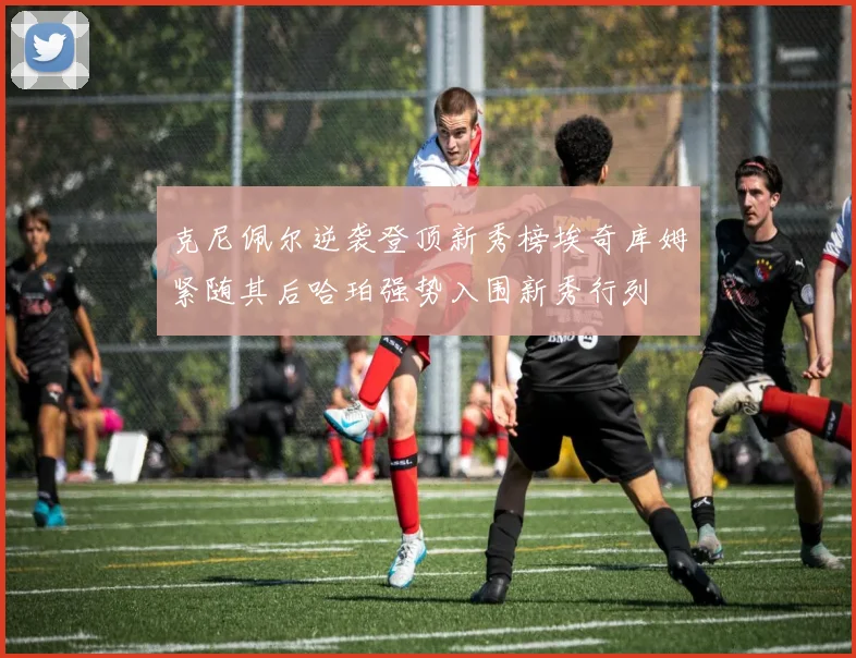 克尼佩尔逆袭登顶新秀榜埃奇库姆紧随其后哈珀强势入围新秀行列
